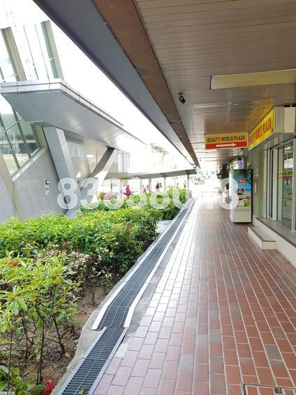 Beauty World Plaza (D21), Apartment #170532122